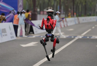 从“养生跑”到破人类纪录，中国机器人成了！