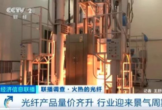 AI算力引爆需求 中国这种产品价格暴涨650%