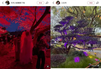最近全国赏花景区的“暴力丑学”，已经离谱到能把人吓哭