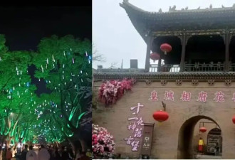 最近全国赏花景区的“暴力丑学”，已经离谱到能把人吓哭