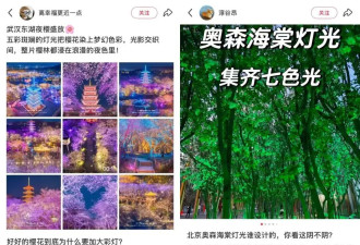最近全国赏花景区的“暴力丑学”，已经离谱到能把人吓哭