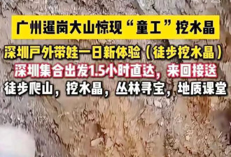 疯狂"淘晶热"！广州暹岗大山遭人私挖水晶破坏