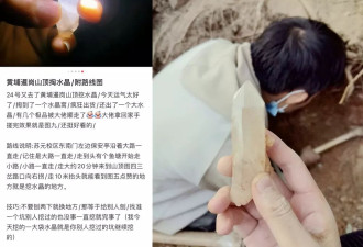 疯狂"淘晶热"！广州暹岗大山遭人私挖水晶破坏