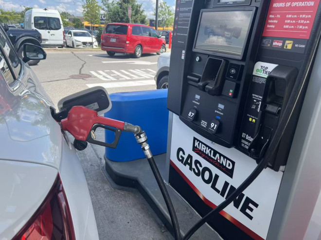 1Pv8Zy2tK-LUu5P_pOG4K3AYmNgCBbBvw?exp=1777290546&sig=DZpOlK-5pGbO3gHDvo6BI5cEAXp6x0PGzXoqLPSFD7A