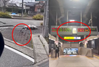 日本7.7强震！ 各地摇晃“惊人画面”出炉