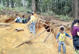 广州现挖水晶乱象 市民挖呀挖 树根被掏空恐致山崩