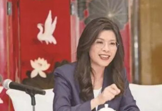 郑丽文谈访美计划：会把访问大陆的感受带到美国
