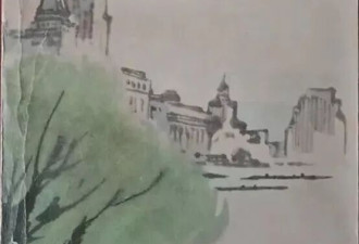 一个文学殉道者的悲剧人生，桑伟川的文字狱