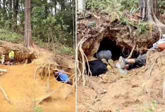 广州现挖水晶乱象 树根被掏空恐致山崩