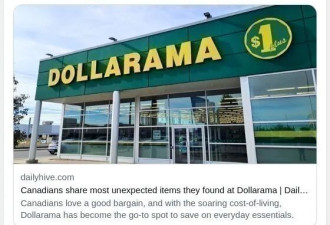 一元店Dollarama藏着大惊喜！网友疯狂分享捡漏清单