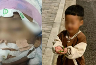上海3岁男童遭生父女友虐死体无完肤 凶手判死缓