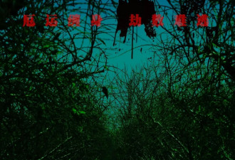 总票房仅104元的电影啥样？观众当时只是为避雨…