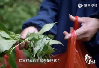 别不服 全国“挖野菜”最上头的省份是他