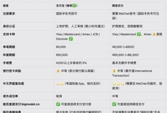 中国AI出海奇景：定价是国内三倍 依然被外国“疯抢”