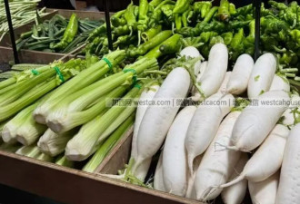 买菜像“割肉”？加拿大菜价暴涨创3年新高