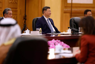 习近平呼吁霍尔木兹海峡重新开放