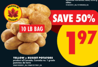 本周特价: 鸡蛋$4.88 橙子/包菜$0.88 番茄/西蓝花$1.5 青提$1.79