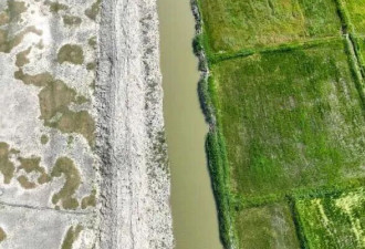 盛世代价：隋唐运河对中原水土的隐性破坏