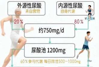 尿酸既是“敌人”，也是“朋友”？