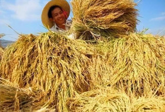 中国最不好惹的一个省 半个中国都要依赖它