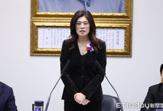 郑丽文恐成民进党最佳助选员