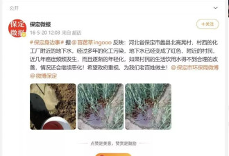 探访河北蠡县“红水”污染源：祸起昔日化工厂