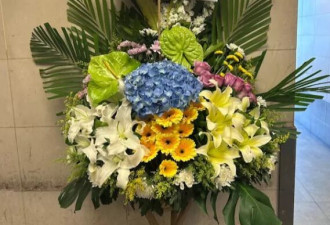 81岁李家鼎赴灵堂送别前妻，憔悴暴瘦一言不发