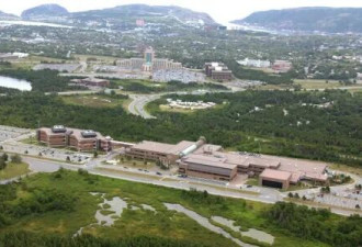 加拿大这所大学招聘炸锅: 白人直男禁入！国内外媒体关注