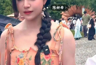 昔日夫妻成路人!陈妍希申请强制执行,告赢前夫...