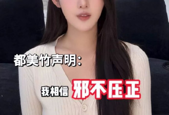 她凭一己之力，把吴某凡送进监狱，没想到如今也栽了