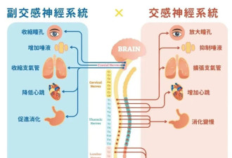为什么很多人总是精力不济 容易累？
