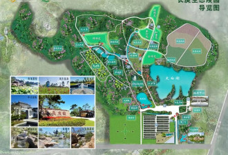生态园竟变豪华“住宅式”墓地，售价200万元