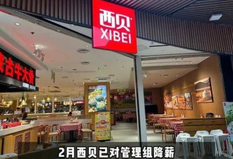 西贝人设崩塌大面积欠薪 6亿亏损全让员工扛