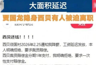 西贝人设崩塌大面积欠薪 6亿亏损全让员工扛