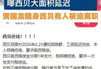 西贝人设崩塌大面积欠薪 6亿亏损全让员工扛