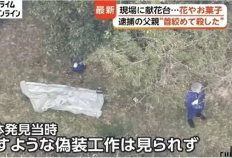 11岁男孩遇害，继父“入赘”杀子