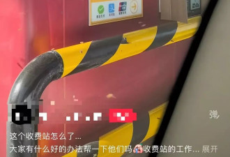 收费站满是蜜蜂，工作人员戴防叮头罩取卡