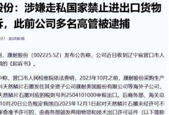 走私战略石墨给美国，中国上市公司下场惨