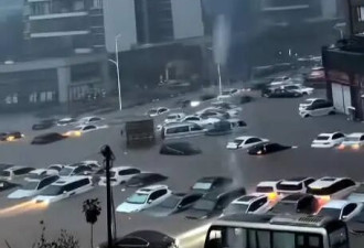 广西钦州遭遇极强降雨，大量汽车被泡，车主...