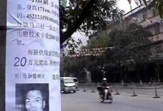 马加爵死刑背后：女同学透露难以启齿的秘密