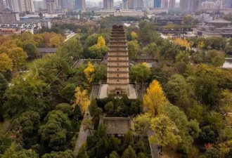 治臣的天才，治国的庸才