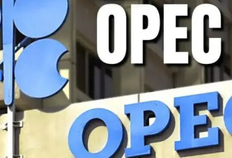 阿联酋退出OPEC+，下一个退群的是它？