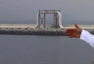 阿联酋退出OPEC,如何影响油价与全球油市版图