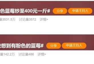 “粉色蓝莓”火出圈 一斤400元！引发网友热议