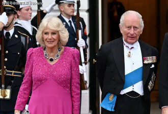 英国王后卡米拉戴“女王母亲”项链，4套穿搭换不停！排面好大！