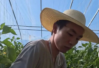 “霸总”也被AI挤掉饭碗，天天“甩人巴掌”的他现在回老家种地