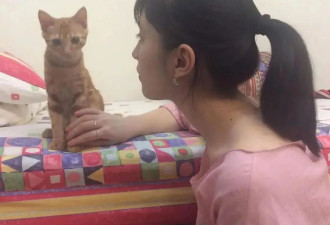 9年后，我们仍在纪念那个死在春天的女孩
