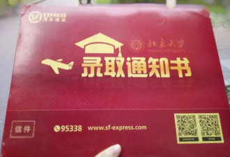 毕业5年，月入0元 被浪费的北大硕士