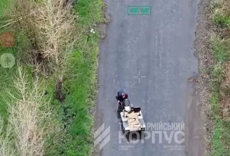 乌克兰士兵无人车营救战区独居老奶奶，转移小猫小狗