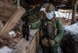 乌克兰士兵无人车营救战区独居老奶奶，转移小猫小狗